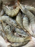 海賦 國產(chǎn)青島大蝦 特大號白蝦20/30規格 凈重3斤 生鮮 -源頭直發(fā)   曬單實(shí)拍圖