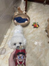 奧?。∣DIN） 貓糧幼貓成貓通用貓咪營(yíng)養主糧 【雞肉三文魚(yú)】10kg20斤 曬單實(shí)拍圖