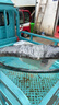 正新輪胎自行車(chē)輪胎 27.5X1.95EPS 外胎輕蜂俠+內胎SV33MM 【C1673N套裝】 曬單實(shí)拍圖
