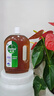 滴露消毒液衣物除菌液洗衣消毒水1.8L殺菌除螨家居衣物消毒除菌松木香 曬單實(shí)拍圖