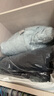 優(yōu)衣庫男裝無(wú)縫羽絨連帽外套/羽絨服保暖休閑夾克470077 02 淺灰色 XL /180/108B 曬單實(shí)拍圖