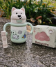 babycare西高地保溫杯學(xué)飲兒童寶寶學(xué)生上學(xué)水壺吸管直飲杯外出6月+-大青 曬單實(shí)拍圖