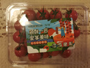 【產(chǎn)地直采】北京密云串收櫻桃番茄300g 曬單實(shí)拍圖