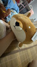 名創(chuàng)優(yōu)品（MINISO）柴犬系列毛絨公仔趴姿玩具娃娃抱枕睡覺室內(nèi)臥室辦公室生日禮物 曬單實拍圖