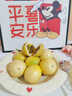 欽蜜黃金9號黃金百香現摘現發(fā)百香果酸甜可口新鮮水果黃金百香果 3斤【單果30-45g】?jì)糁?.5斤 曬單實(shí)拍圖
