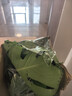 水培植物龜背竹盆栽老樁綠蘿大葉室內觀(guān)葉養桌面綠植耐陰好養常青 精品龜背竹55-60厘米3棵+營(yíng)養液 曬單實(shí)拍圖