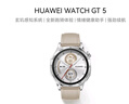 HUAWEI WATCH GT 5 46mm 蒼山灰 氟橡膠表帶華為智能手表情緒健康助手玄璣感知系統 曬單實(shí)拍圖