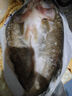 黃小漁三去海鱸魚2斤/2條 開背鱸魚 生鮮 魚類 海鮮水產(chǎn)夜宵燒烤食材 曬單實拍圖