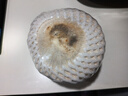 京鮮生海南椰青 9個(gè)裝(單果1100g+) 生鮮水果 源頭直發(fā) 曬單實(shí)拍圖
