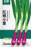 北蔬 小香蔥種子苗紅蔥種頭四季庭院陽(yáng)臺種菜籽 紅根小蔥種子約600粒 曬單實(shí)拍圖