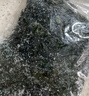 大連裙帶菜 鮮海帶非干貨海帶嫩苗兒童海菜海白菜海藻菜涼拌 裙帶菜嫩葉250g 曬單實(shí)拍圖