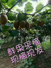 好爸爸天然櫻花柔護洗衣液 持久留香 嬰孕兒童洗衣可用 迷霧晨櫻 5.6斤 曬單實(shí)拍圖