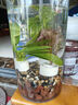 瘋狂水草魚(yú)缸水草 直接入缸種植環(huán)綠植造景套餐c 【源頭直發(fā)包郵】 曬單實(shí)拍圖