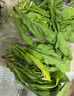 【富硒】茼蒿200g 曬單實(shí)拍圖