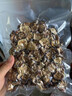 德國品質(zhì)新款抽真空機家用封口機全自動(dòng)塑封機可濕抽廚房保鮮包裝神器 觸控大吸力【真空機】 曬單實(shí)拍圖