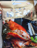 喜旺豬全肘子900g醬肘子鹵味熟食臘味開袋即食下酒菜家宴禮品特產(chǎn) 曬單實拍圖