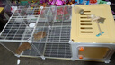 蔻絲兔子籠子特大號防噴尿帶廁所室內(nèi)養(yǎng)荷蘭豬用品 曬單實拍圖
