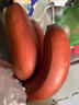 南步福建紅美人香蕉 紅皮蕉土樓特產(chǎn)小米粉蕉高山甜芭蕉新鮮孕婦水果 3斤 精品紅香蕉 曬單實(shí)拍圖
