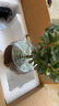小葉赤楠盆景植物辦公花卉基地直銷(xiāo)批發(fā)綠植盆栽室內擺件花卉綠植 赤楠+祥獅報喜盆+苔蘚+方底座 曬單實(shí)拍圖