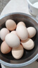 谷物鮮雞蛋 農(nóng)戶散養(yǎng)新鮮雞蛋 單枚40g±5 10枚（40克/枚） 曬單實(shí)拍圖
