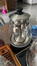 金灶（KAMJOVE） 養生壺煮茶器噴淋式煮茶爐白茶壺黑茶壺辦公室家用蒸汽煮茶壺1L 黑色 1L 曬單實(shí)拍圖