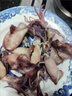 籽烏滿(mǎn)籽小海兔新鮮無(wú)沙海兔子章魚(yú)墨魚(yú)小管撈汁燒烤 原籽-籽烏99%帶籽 500g(凈重） 30只裝 曬單實(shí)拍圖