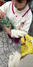 G.DUCKKIDS童裝女童春裝套裝兒童服裝小童春裝運(yùn)動衛(wèi)衣兩件套1-3女寶寶衣服 粉紅色草莓熊【春秋款】 90 尺碼1~2歲【 80-90cm】 曬單實(shí)拍圖