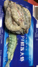 東上御品 國產(chǎn)青島大蝦 特大號白蝦 2030規格 凈重3斤 盒裝活凍 曬單實(shí)拍圖
