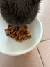 皇家貓糧 英短成貓糧 BS34 通用糧 12月以上 2KG 曬單實拍圖