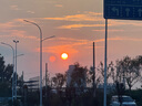 斐樂（FILA）七夕禮物電子表夜光中學(xué)生考試手表大學(xué)生潮流運(yùn)動(dòng)防水腕表 6564 曬單實(shí)拍圖