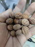 騫捷德國核雕電磨機桃籃雕刻設備核桃雕刻桃核雕刻手工小型電動(dòng)工具 2025全新（團購聯(lián)系客服） 曬單實(shí)拍圖