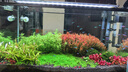 AMTRA TECHNIK德國安彩壁掛過(guò)濾器ex650魚(yú)缸過(guò)濾器烏龜低水位凈水靜音 EX650 新版除油膜器【內含濾材】 曬單實(shí)拍圖