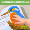 亮麗精美觸摸書系列（全4冊）小兔比利仿真觸摸書幼兒啟蒙早教書低幼認(rèn)知繪本【0-2歲】寶寶繪本   暑假作業(yè) 一升二暑假銜接 小升初暑假銜接 曬單實拍圖