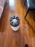 戴森（DYSON）【雙十一搶購】【重磅新品】?jì)艋瘒姎鈾CHJ10空氣凈化器 高效除甲醛 母嬰級凈化 去除寵物異味 HJ10白色 曬單實(shí)拍圖