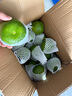 京鮮生 云南青皮蜜桔8斤裝  果徑60mm+ 新鮮酸橘桔水果 源頭直發(fā)包郵 曬單實(shí)拍圖