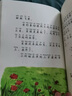 2025年秋 書香共讀二年級 可樂的二年級肚里有個孫悟空 笨狼的故事笨狼的減肥計劃 小鯉魚跳龍門小貓釣魚 讀 正版6冊二年級課外閱讀必讀 曬單實拍圖