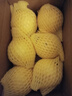 京鮮生 福建黃金葡萄柚 4.5-5斤 單果300g起 生鮮水果 源頭直發(fā)包郵 曬單實(shí)拍圖