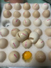 無(wú)抗鮮雞蛋 谷物喂養鮮雞蛋 單枚50g-60g 早餐食材 蛋香味十足 30枚裝 曬單實(shí)拍圖