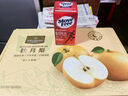 One's Member 山東老樹冰糖秋月梨 單果500g+ 果王 凈重7斤新鮮水果源頭直發(fā) 曬單實(shí)拍圖