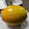 優(yōu)味集【JD順豐】蛋黃果新鮮雞蛋果水果熱帶生鮮果應季特產軟糯香甜 500g凈重裝（產地大果） 曬單實拍圖