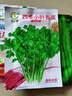 四季播種蔬菜種子青菜香菜白菜生菜番茄小蔥黃瓜種子陽(yáng)臺盆栽菜籽 四季小葉香菜(一包500粒送有機肥) 曬單實(shí)拍圖