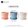 九千谷花盆歐式簡(jiǎn)約創(chuàng  )意加厚塑料三色混裝中號3個(gè)裝辦公桌面帶托盤(pán)4276 曬單實(shí)拍圖