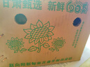 新鮮食用生吃現(xiàn)摘現(xiàn)發(fā)葵花盤頭帶籽帶盤原味向日葵葵花子 小盤(直徑15-18cm)*2盤 曬單實拍圖