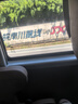 Inne因你竹節(jié)鈣賴(lài)氨酸青少年6-18歲補(bǔ)鈣兒童鈣鎂鋅液體鈣維d3*30條 曬單實(shí)拍圖