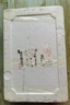 山東壽光水果黃瓜生吃脆新鮮荷蘭青瓜當季無刺小黃瓜源頭直發(fā) 精品水果黃瓜凈重 4.5斤 曬單實拍圖