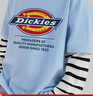Dickies童裝兒童長(cháng)袖T恤中小童春秋字母上衣男童秋季純棉體恤男孩打底衫 曬單實(shí)拍圖