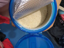 嘉寶（GERBER）高鐵米粉嬰幼兒輔食米糊原味250g 含DHA活性益生菌6月齡 曬單實(shí)拍圖