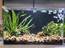 魚(yú)缸背景貼紙pvc缸外裝飾造景水族箱純黑色背景壁紙玻璃裝飾貼膜 魚(yú)缸背景貼-寬40cm*長(cháng)1米 曬單實(shí)拍圖