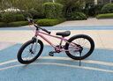 優(yōu)貝（RoyalBaby）兒童自行車男女童車腳踏車山地車6-7-10-12歲 小精靈20寸霞光粉 曬單實(shí)拍圖