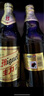 生力啤酒（San Miguel）廣東640ml大瓶裝經(jīng)典原味黃啤皮爾森啤酒640ml*12 曬單實(shí)拍圖